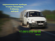 Грузопассажирская газель, перевозки