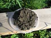 Собственный бизнес в производстве удобрений из донного ила