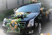 СВАДЕБНЫЕ АВТОУКРАШЕНИЯ  для машин в Кемерово на прокат