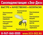 Уничтожение клопов ., 