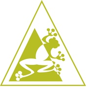 Займы под залог автомобилей