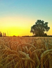 Профессиональная фотосъёмка