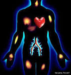 Диагностика всего организма