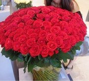 Цветы. Доставка роз