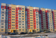  Покраска,  грунтовка,  штукатурка поверхностей