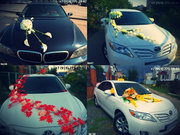 Украшения свадебных машин