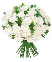 Цветы. Доставка хризантем