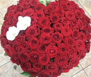 Букет из 101 розы ( длина стебля 50 см).