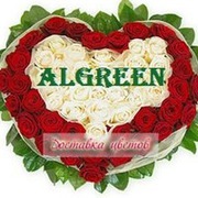 Цветы оптом и в розницу