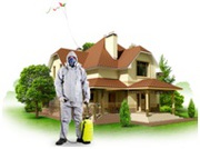 Дезинсекция любых помещений,  кафе...