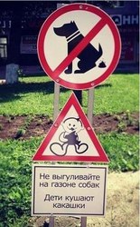 ВЕСЬ ДВОР В КАКАШКАХ? Мы уберем!