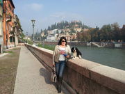 переводчик-консультант Север Италии