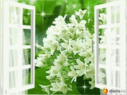 Мойка окон в квартирах и офисах от 220 руб. Быстро и качественно!