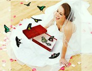 Живые бабочки в подарок