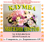 Магазин цветов КЛУМБА
