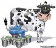 Помощь в кредитовании с 18 лет