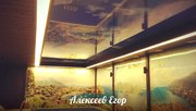 Натяжные потолки ИП Алексеев 