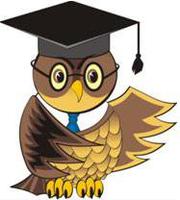 Пишем любые отчеты по практике