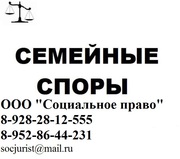 Семейные юристы,  споры по семейным делам,  вопросам,  спорам.
