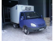 грузоперевозки грузовым ам газель, есть рефрижиратор.