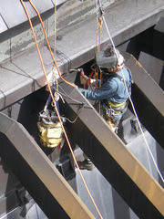 Спил,  валка,  кронирование,  удаление деревьев. Арбористика. Альпинисты