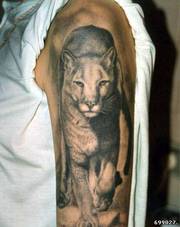 Делаю татуировки на дому. Большой опыт,  стерильность,  уход за тату