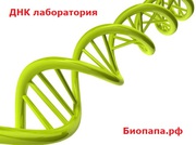 Тест ДНК на отцовство. ДНК Лаборатория 