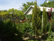 крым отдых,  черноморское , мыс тарханкут