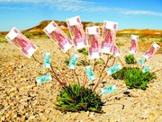 Завышена кадастровая стоимость? – Уменьшим! 