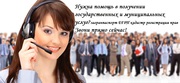 Помощь в получении государственных и муниципальных услуг