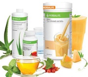 Гербалайф, Протеиновые коктейли.