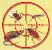 Грызунов нет Комаров нет