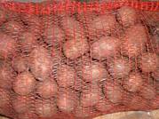 Продаю Овощи Картофель