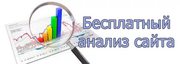 Бесплатный анализ сайта за 1 час