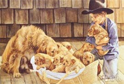 Детский клуб юного кинолога 
