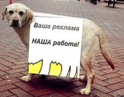  Распространение рекламной продукции