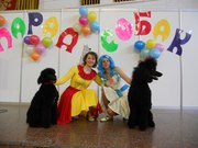 Дрессированные собачки