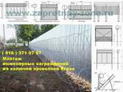 Колючая проволока Егоза
