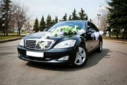 Свадебный кортеж Mercedes-Benz S-Class