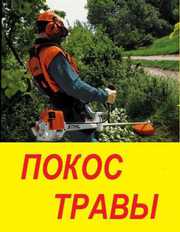 Покос травы,  поросли ,  благоустройство сада