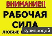 Рабочая сила от Тимофея 