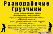 Копка! Слом стен! Снос построек! Фундаменты! Грузчики! Вывоз мусора! 