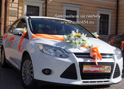 Недорогой автомобиль на свадьбу,  Ford Focus