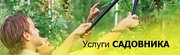 Ваш сад нуждается в помощи