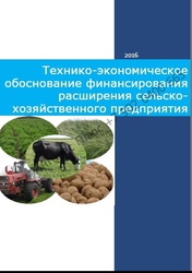 ТЭО проекта