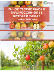 Готовое исследование РЫНОК СВЕЖИХ ЯБЛОК И ГРУШ В РОССИИ - 2016 