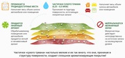 Удаление запахов в помещениях и авто