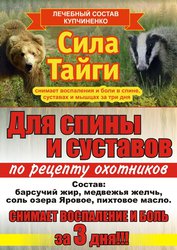 Бальзам для спины и суставов Сила Тайги