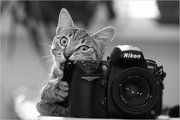 Обучение в фотошколе Новочеркасска
