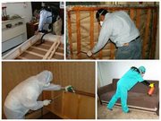 Уничтожение клопов,  насекомых грызунов в Челябинске